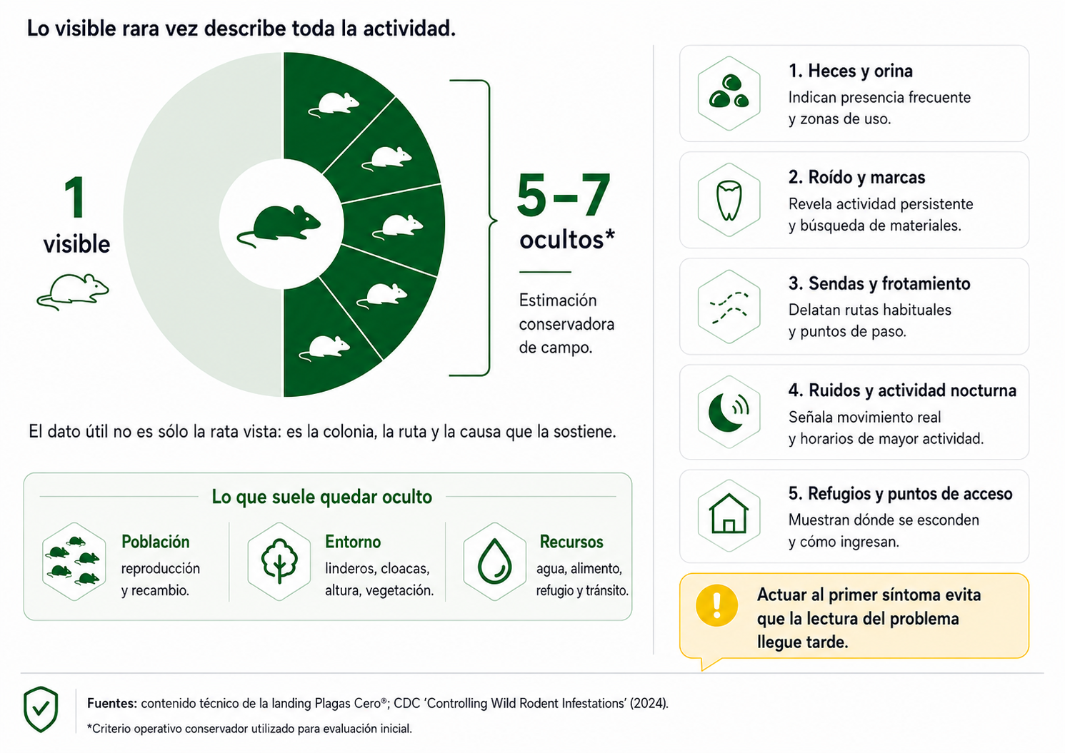 Infografía técnica sobre actividad visible y actividad oculta en infestaciones de roedores.
